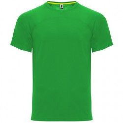 Verde helecho