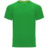 Verde helecho