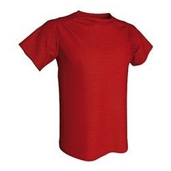 Camiseta Técnica TANDEM Adulto