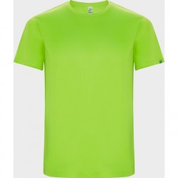 Verde flúor