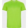 Verde flúor