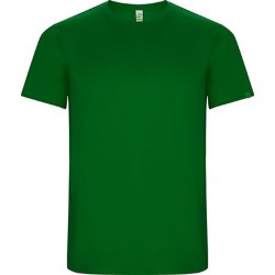 Verde helecho