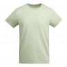 Verde menta