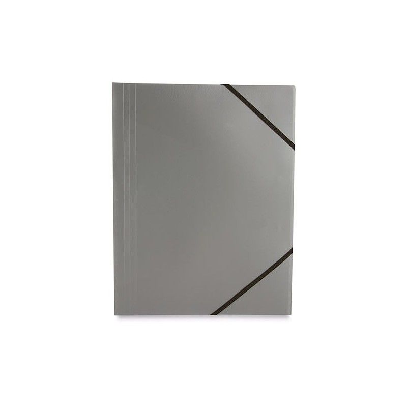 CARPETA SILVER CON GOMAS PT
