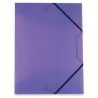 CARPETA SILVER CON GOMAS PT