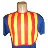Babero pitet de calçotada senyera personalizable